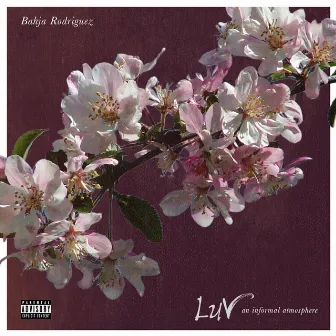 Luv by Bahja Rodriguez