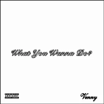 What You Wanna Do by venny