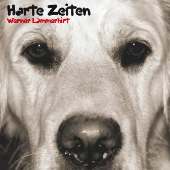 Harte Zeiten by Werner Lämmerhirt