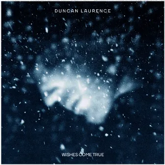 Wishes Come True by Duncan Laurence