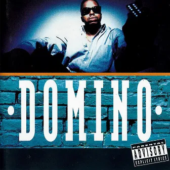 Domino by Domino