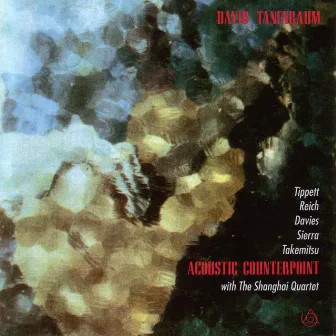 Acoustic Counterpoint by David Tanenbaum