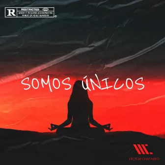 somos únicos by Hector Chaparro