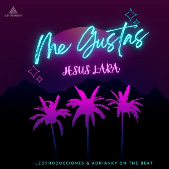 Me Gustas by Jesus Lara