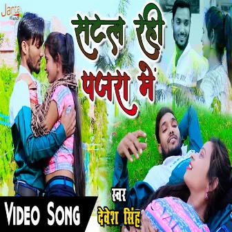 Satal Rahi Pajra Me by Devesh Singh