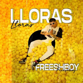 Lloras by Freeshboy