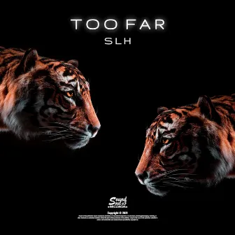 Too Far by SLH