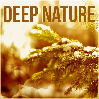 Deep Nature – Soothing Music, Relaxing Ocean Waves Sounds, Calming Nature Sounds, White Noise, Healing Music, Sleep Sounds, Tranquility, New Age by Nature Sounds Collective