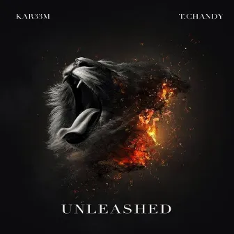 Unleashed by Kar33m