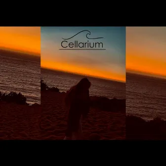 Living a Dream by Cellarium