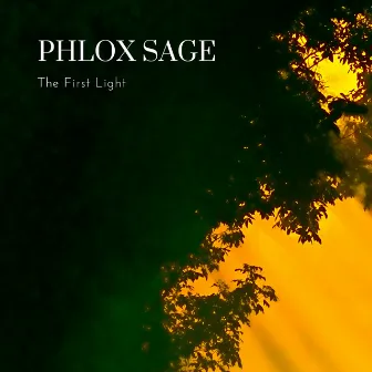 The First Light by Phlox Sage