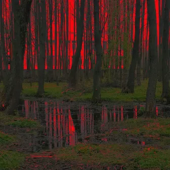 Red Forest by Black Eagle