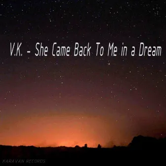 She Came Back To Me in a Dream by V.K.