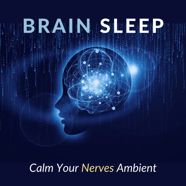 Calm Your Nerves Ambient -Brain Sleep-