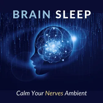 Calm Your Nerves Ambient -Brain Sleep- by Sleep Music α