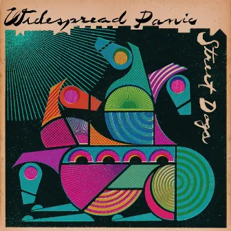 Street Dogs by Widespread Panic