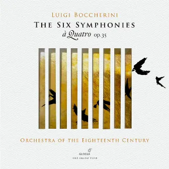 Boccherini: The Six Symphonies by Marc Destrube