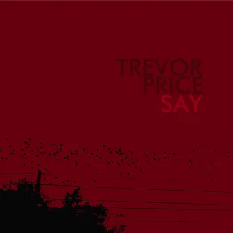 Say by Trevor Price