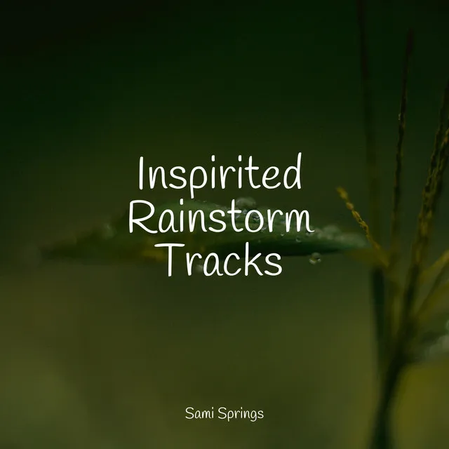 Inspirited Rainstorm Tracks