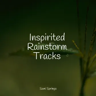 Inspirited Rainstorm Tracks by Natural Nature Makers