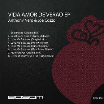 Vida Amor De Verão by Anthony Nero