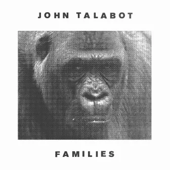 Families by John Talabot