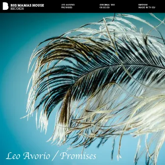 Promises by Leo Avorio