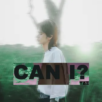 Can I by TΔΞ泰泫