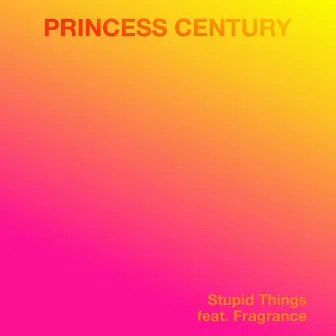 Stupid Things by Princess Century