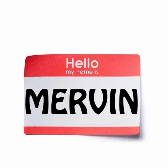 Hello, My Name Is Mervin by Mervici