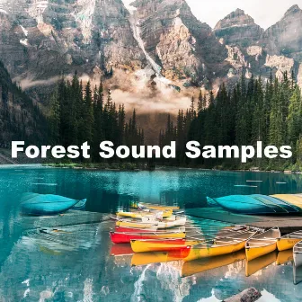 Forest Sound Samples by Ambiente Forestal