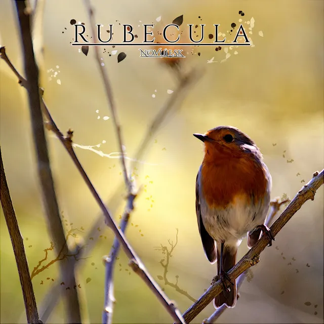 Rubecula