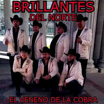 El Veneno de la Cobra by Brillantes del Norte