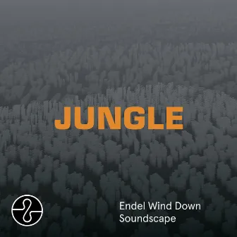 JUNGLE (Wind Down Soundscape) by Endel