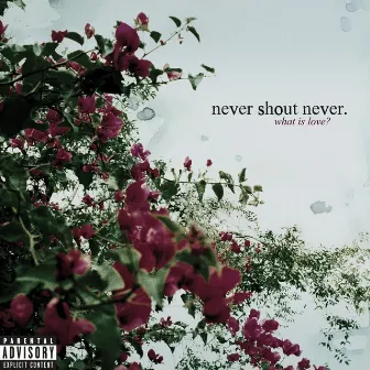 What Is Love? by Never Shout Never