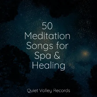 50 Meditation Songs for Spa & Healing by Relaxation Music Guru