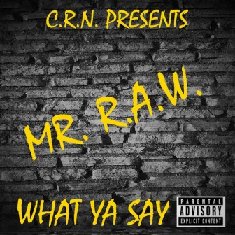 What Ya Say by Mr. R.A.W.