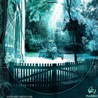 Asylum by Fitzer