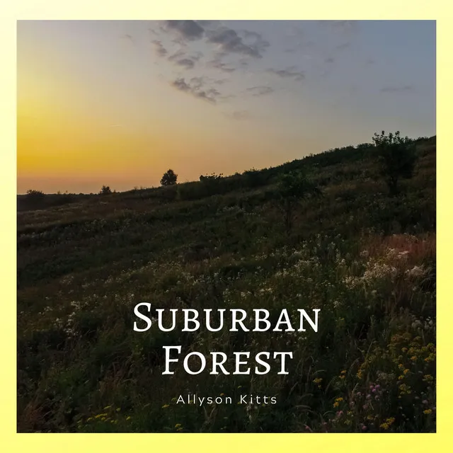 Suburban Forest