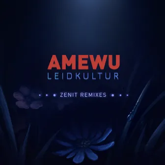 Leidkultur (Zenit Remixes) by Amewu