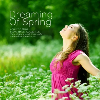 Dreaming Of Spring by Acoustic Melo