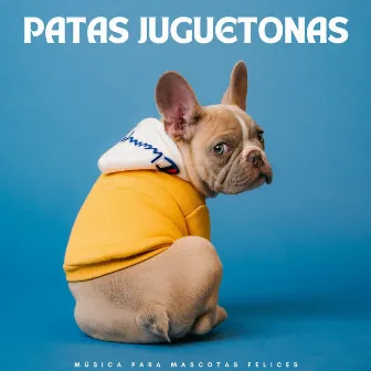 Patas Juguetonas: Música Para Mascotas Felices by 