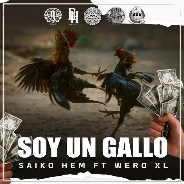 Soy un Gallo