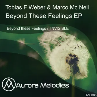 Beyond These Feelings EP by Tobias F Weber