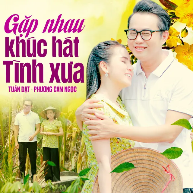 Thư Gửi Người Tình Lỡ