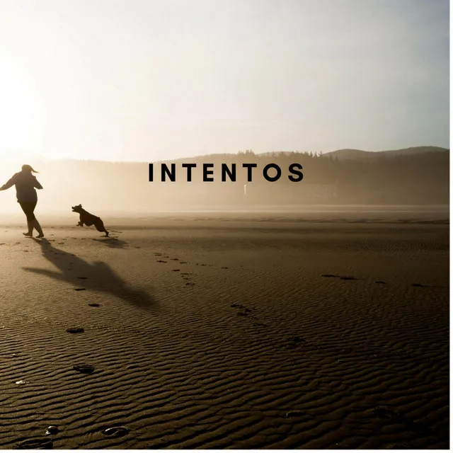 INTENTOS (El Comienzo)