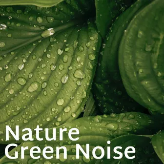 Nature Green Noise by Green Noise Meditation