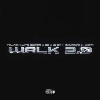 Walk 2.0 (feat. Liiro Demon, CG, SKYRRIPA, 13am & Miomi) - Remix by Steph Coll