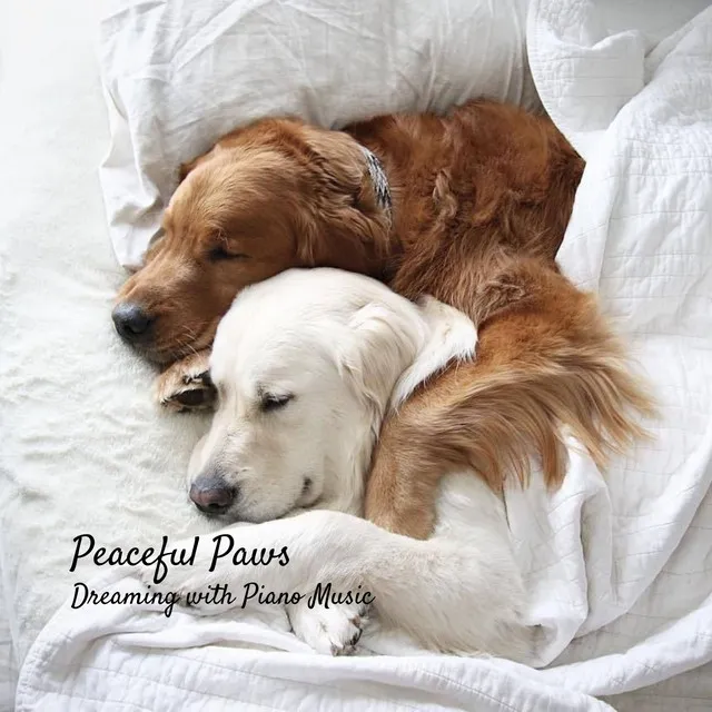 Peaceful Paws: Dogs Dreaming with Piano Music