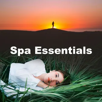 Spa Essentials by Unknown Artist